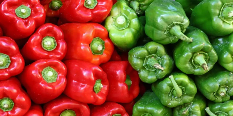 Alimentos para diabeticos